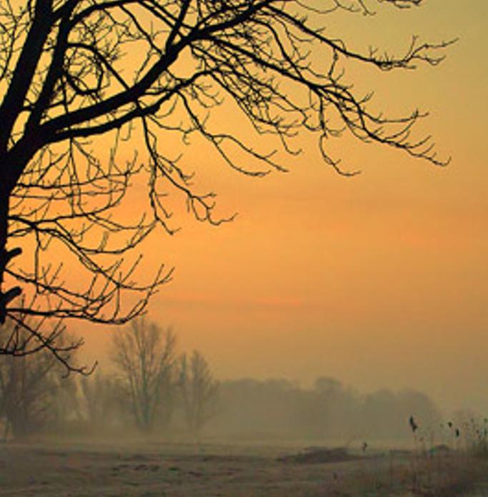 phochnc's profile banner image