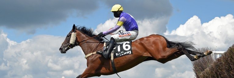 Alex Donohue banner