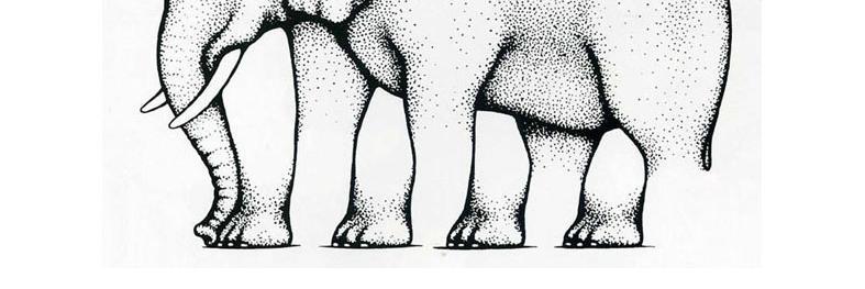 Elephants_Memo's profile banner image