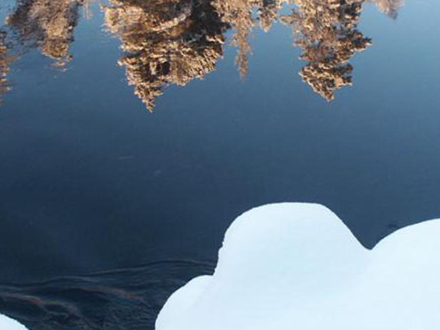 fresunco's profile banner image