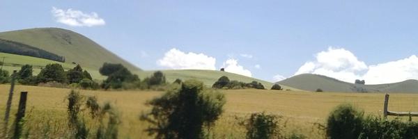 WaithereroMaina Profile Banner