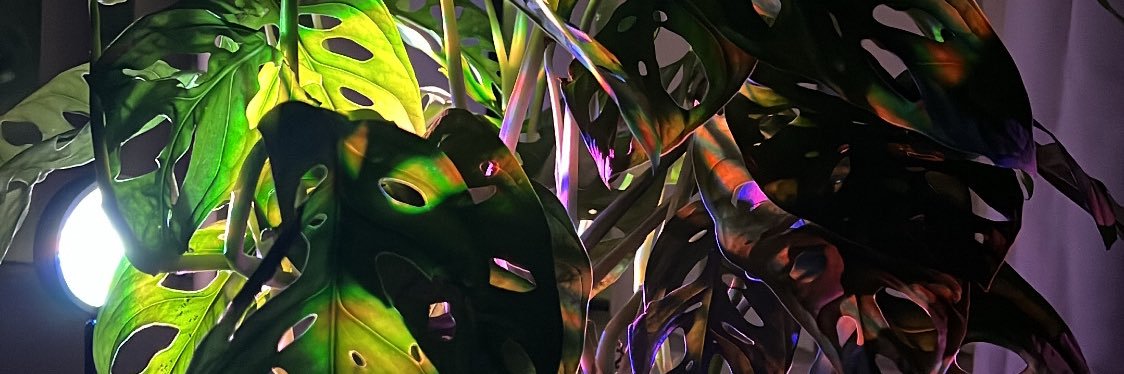TacoTyce's profile banner image