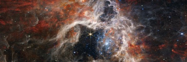 Verónica Andreo banner