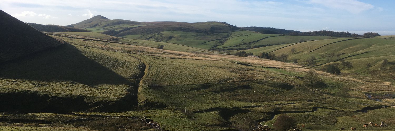 Bettys Farm and Shop banner
