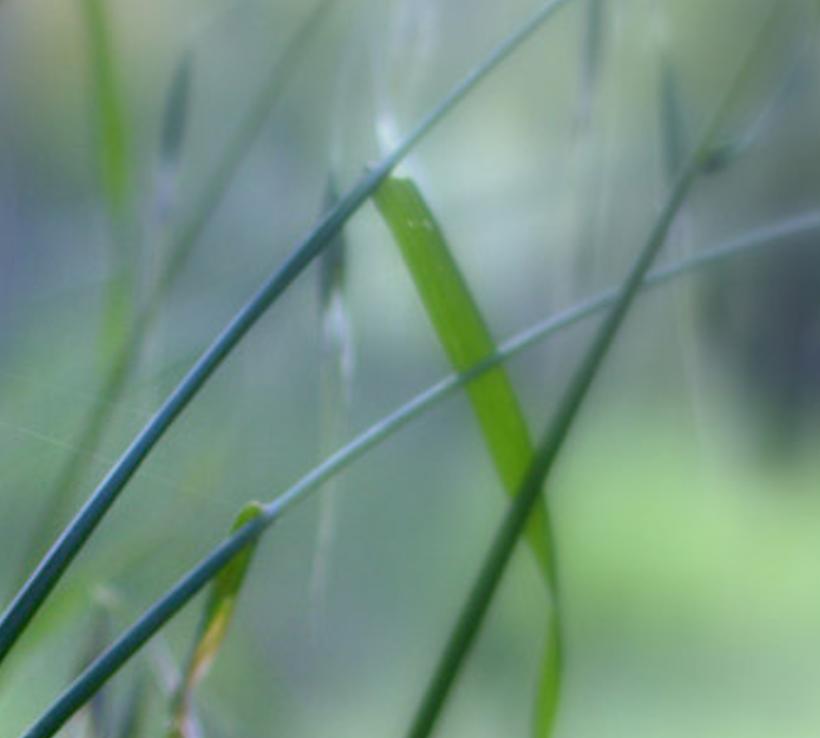 ebltop's profile banner image
