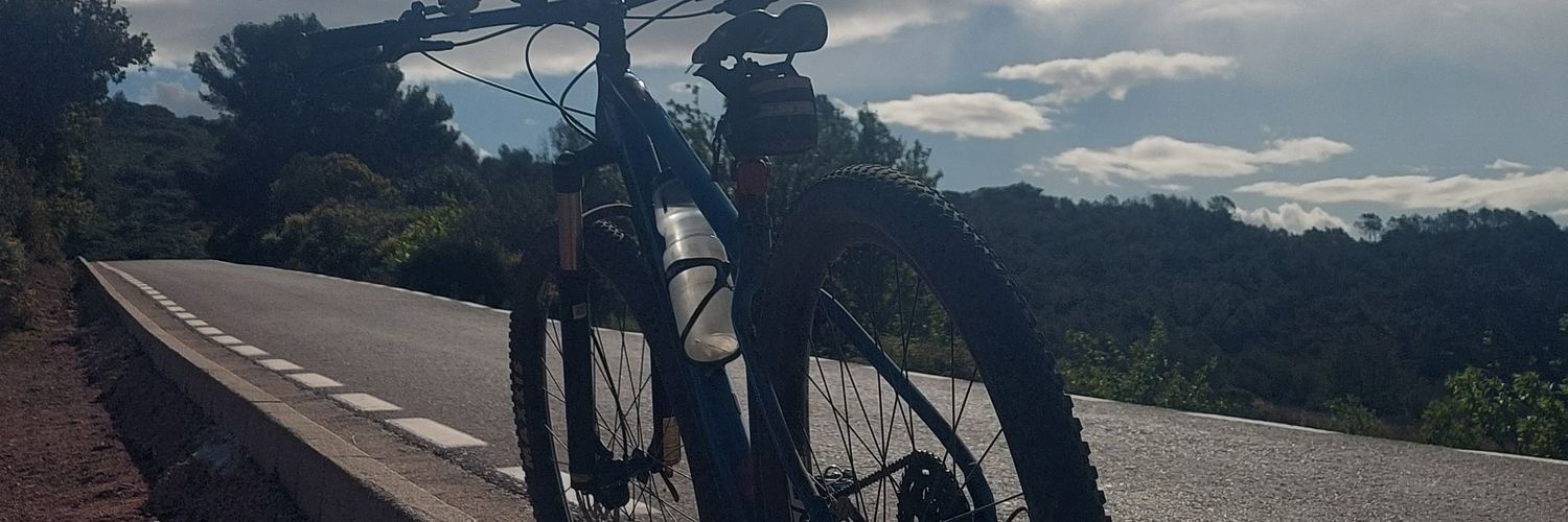boromont21's profile banner image