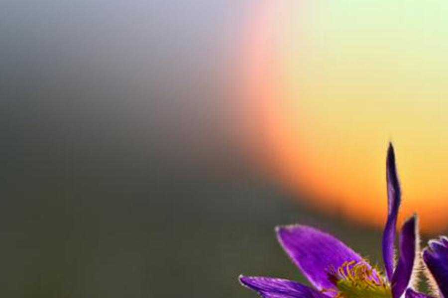 edercelale's profile banner image