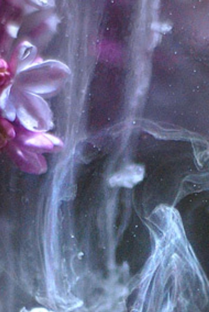 balepome's profile banner image