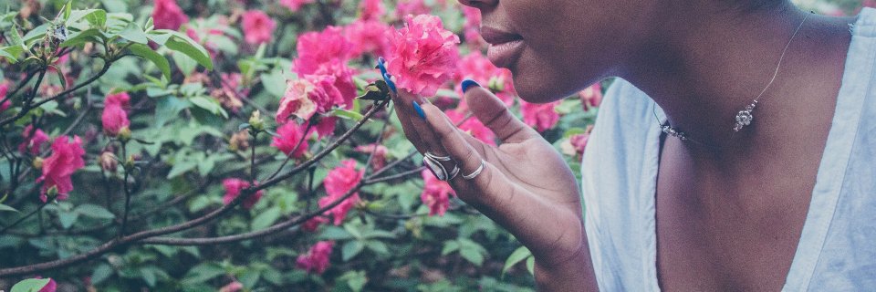 Living_Crowns's profile banner image