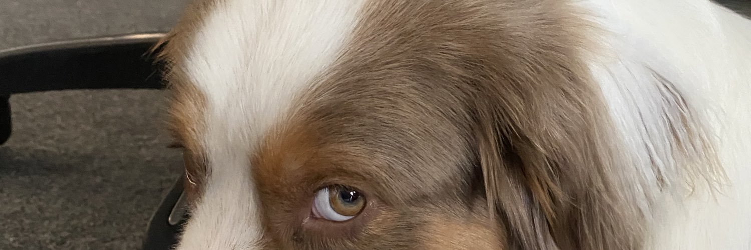 youcamnot's profile banner image