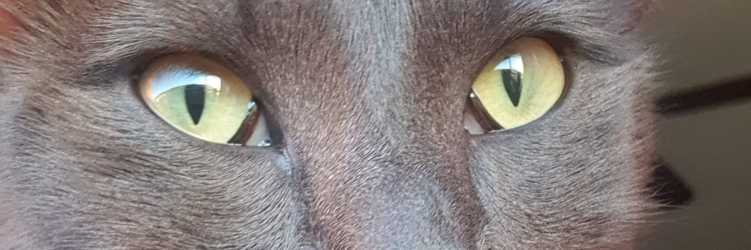 konancoc's profile banner image