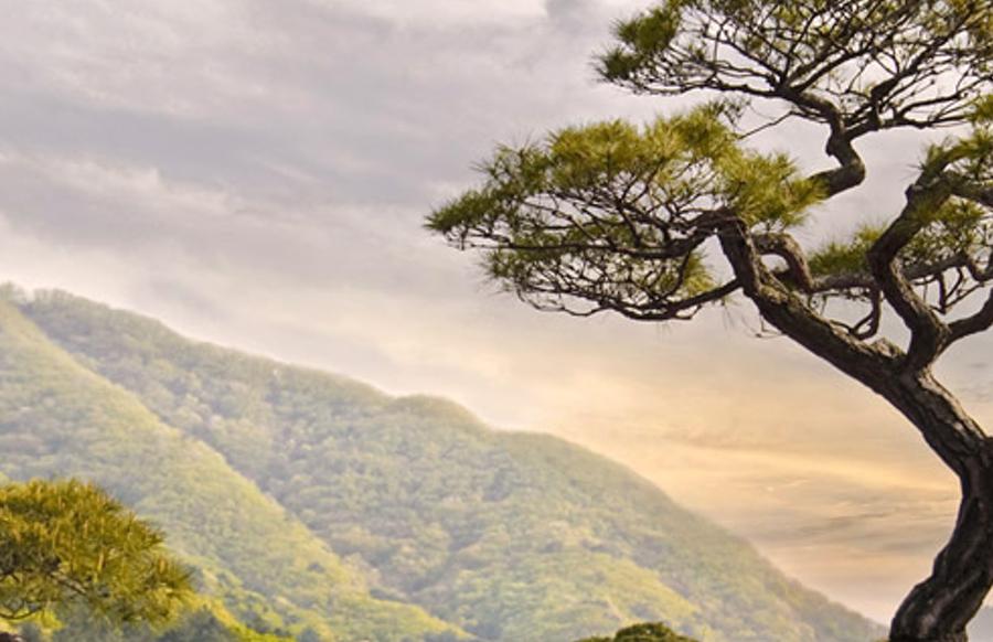 inceunerpi's profile banner image