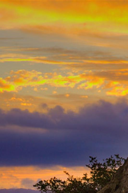 mnegillybl's profile banner image