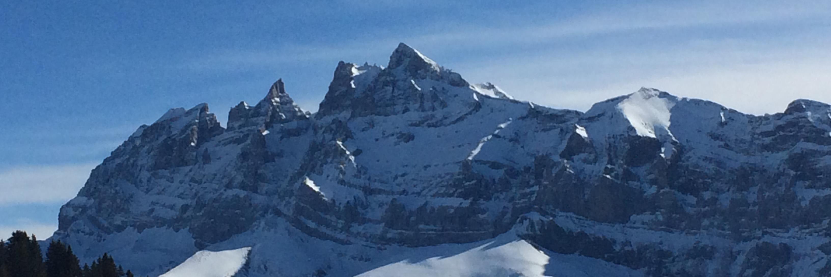 panissier's profile banner image