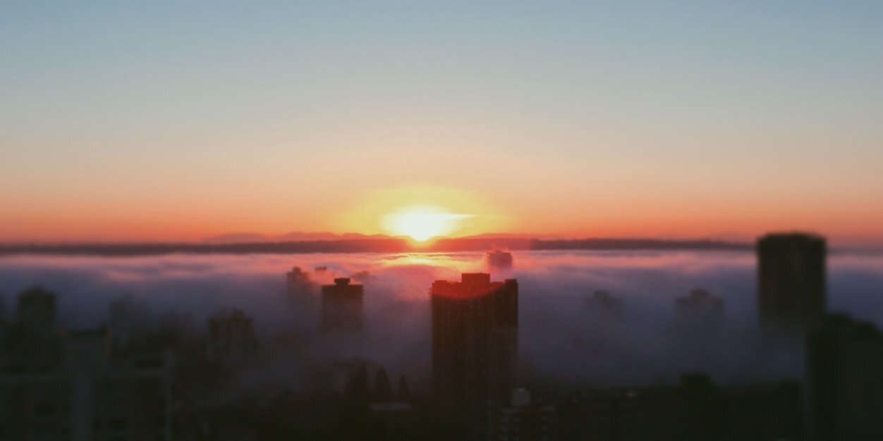 adrienne matei banner