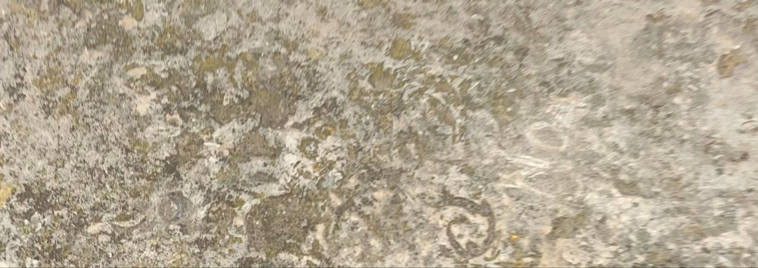 marinalaoli's profile banner image