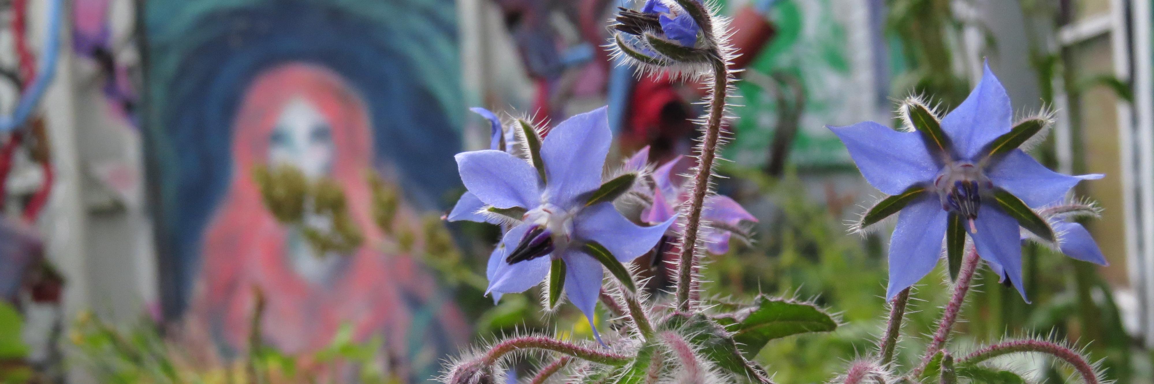 Gallery_Garden's profile banner image