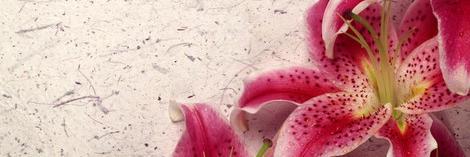 CroninGretta's profile banner image