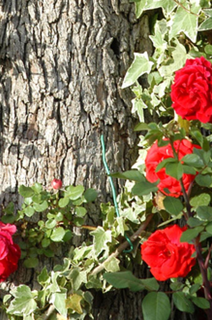 engidabemaf's profile banner image