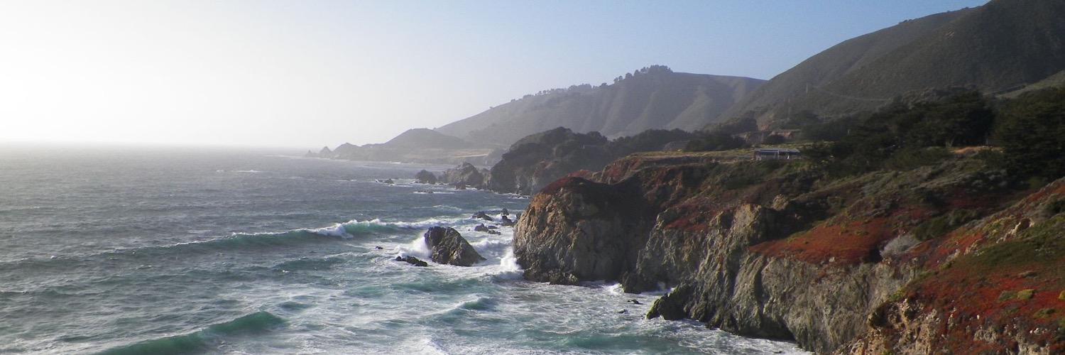 Elizabeth Yost banner