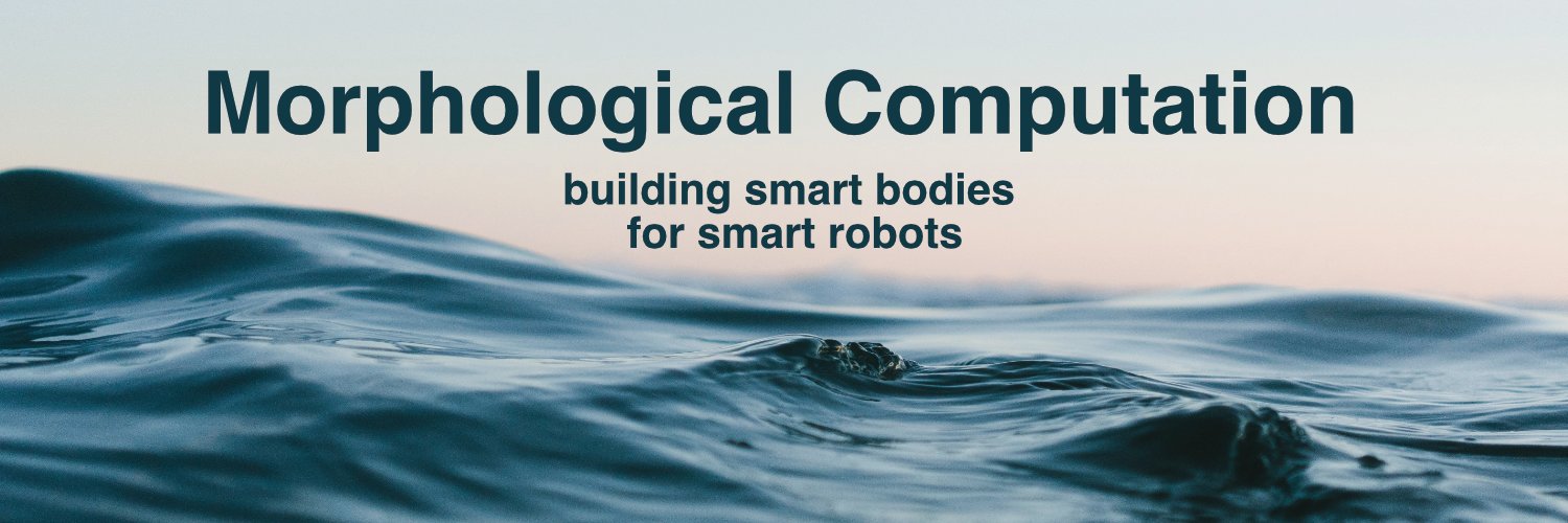 Helmut Hauser banner