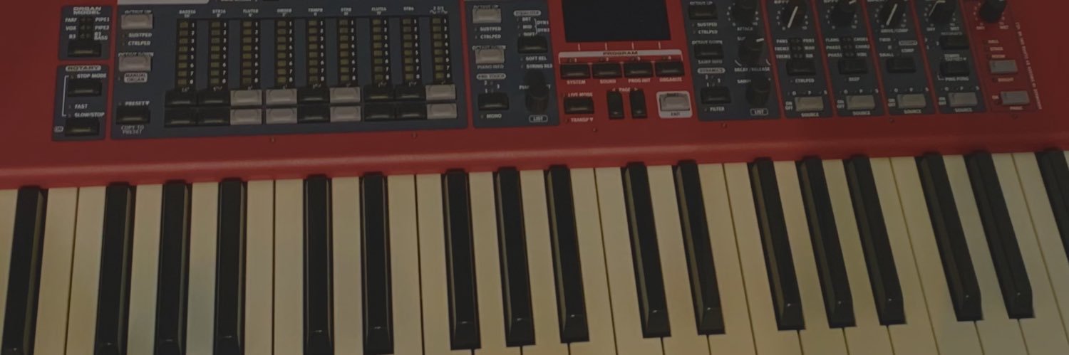 Paulius (DirectorMusic) banner