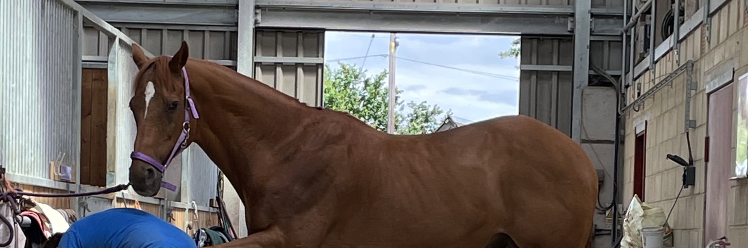 LisaCook1210's profile banner image