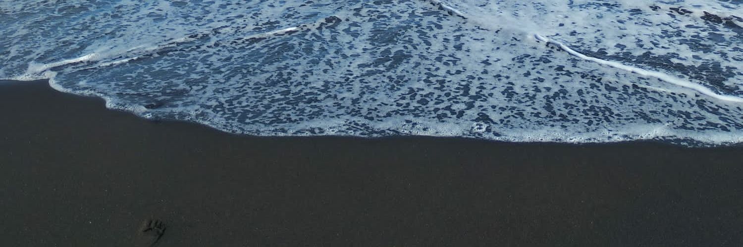 DmhDaniel's profile banner image