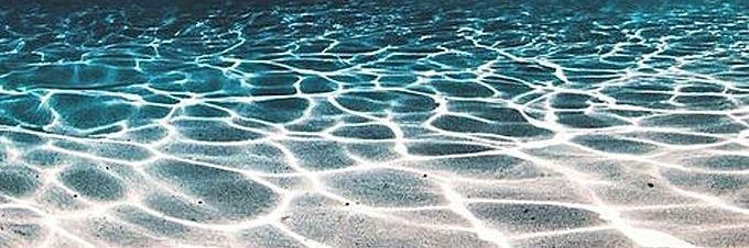 TritonArg's profile banner image
