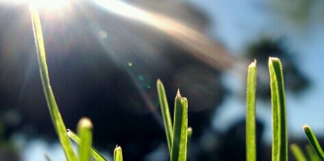 Pilytorresm's profile banner image
