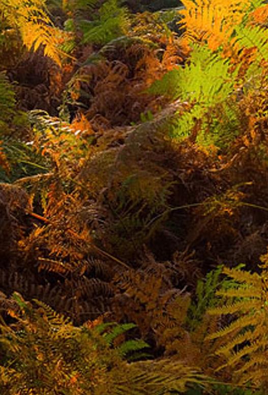 hbexiusess's profile banner image