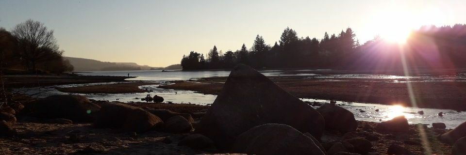 brendadel21's profile banner image