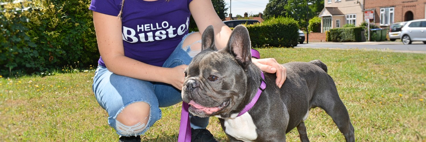 HelloBusterUK's profile banner image