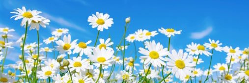 NaturallyG0RJAS's profile banner image