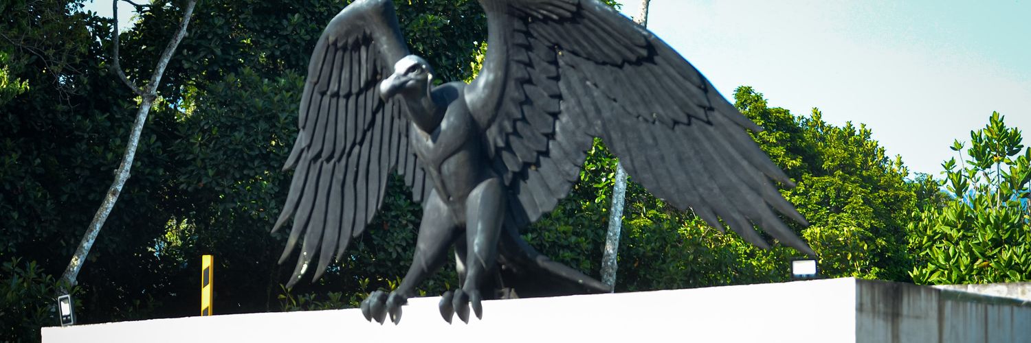 edgard0n's profile banner image