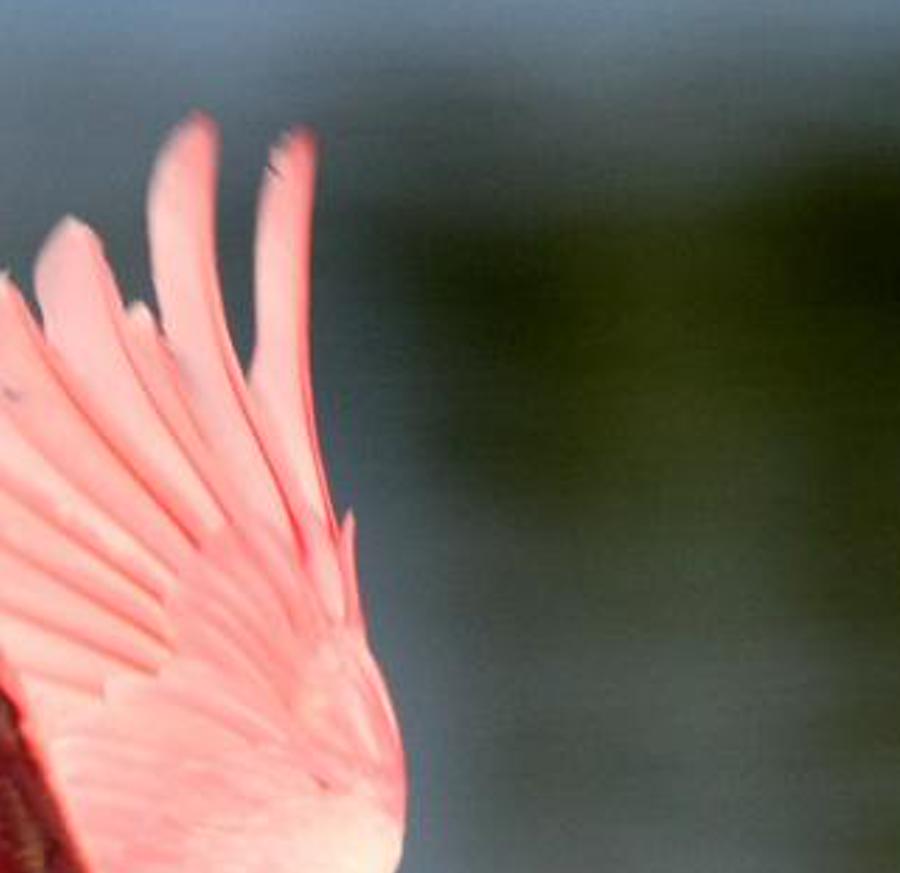 walmesci's profile banner image