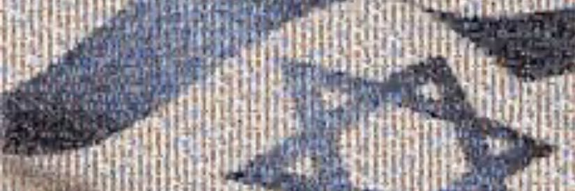 Christian Cantor banner