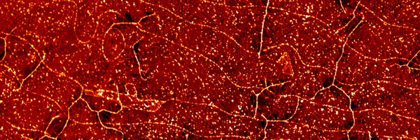 LeidenPhysics Profile Banner