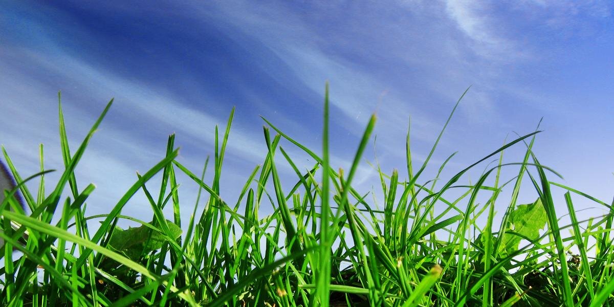 EcoGeneration banner