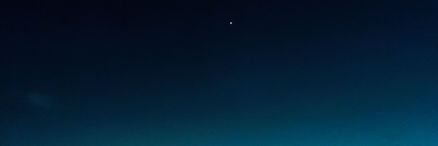 Navila4's profile banner image