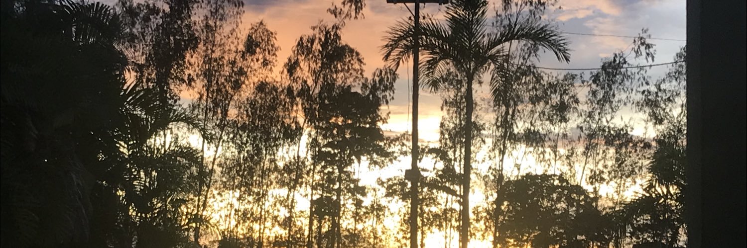 bastosaamanda's profile banner image
