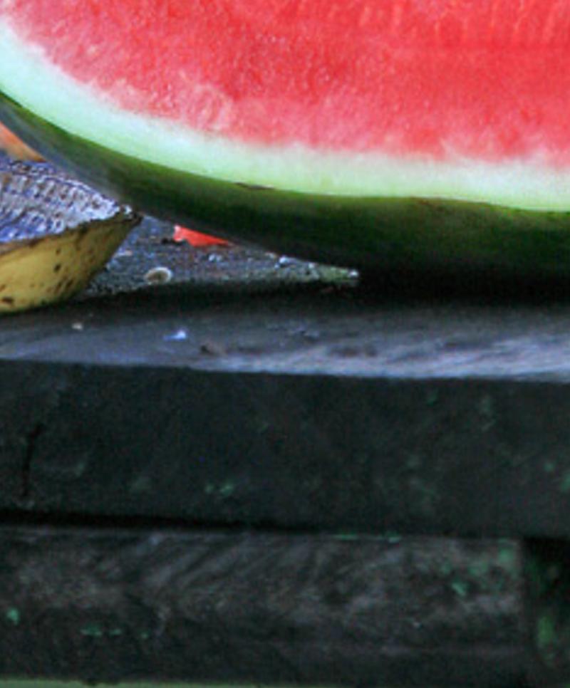 qustoug's profile banner image