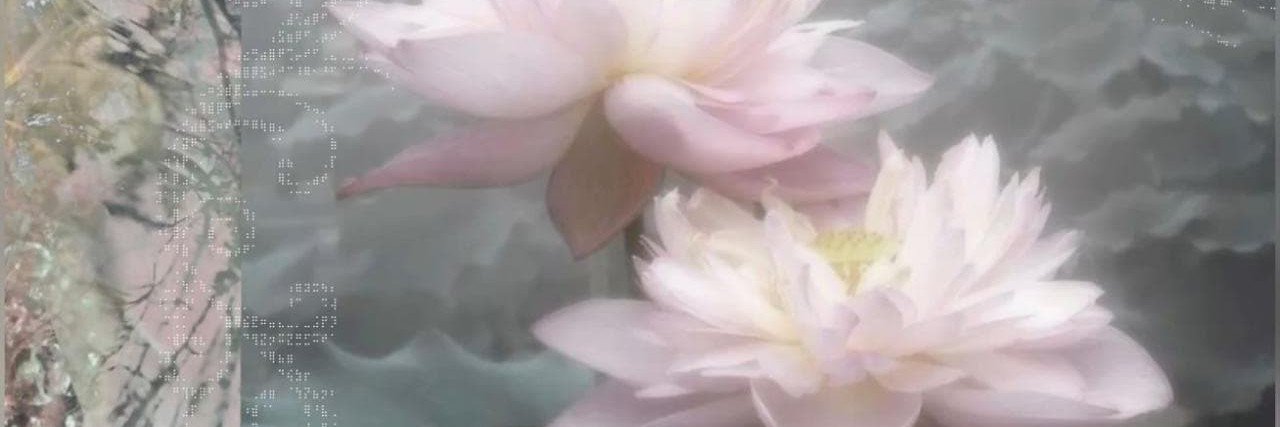 achieuimut's profile banner image