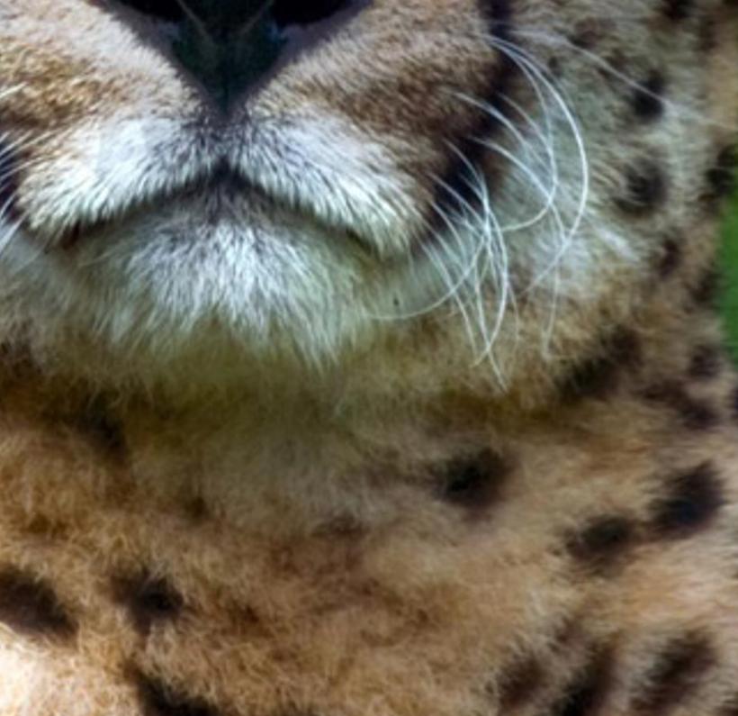 nsfutibrche's profile banner image
