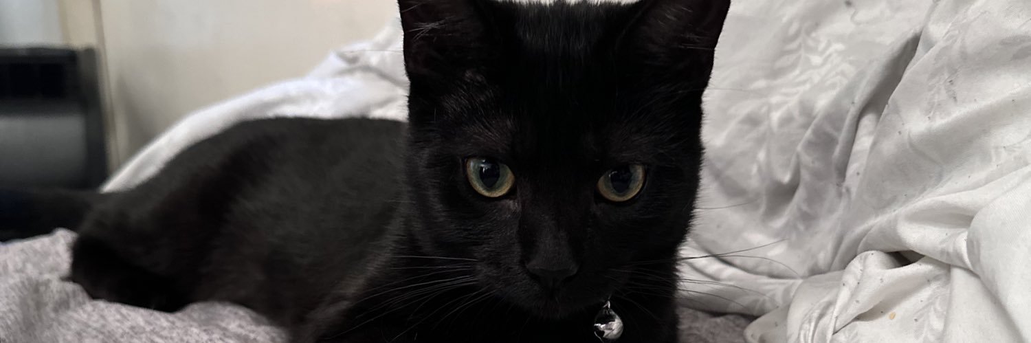 tdanielle1998's profile banner image