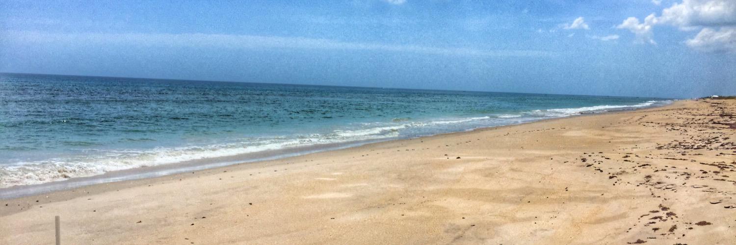 ☠️Barbara Negreira-Harrell☠️ banner