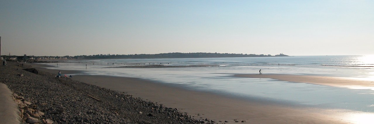 Alittlebird_e's profile banner image
