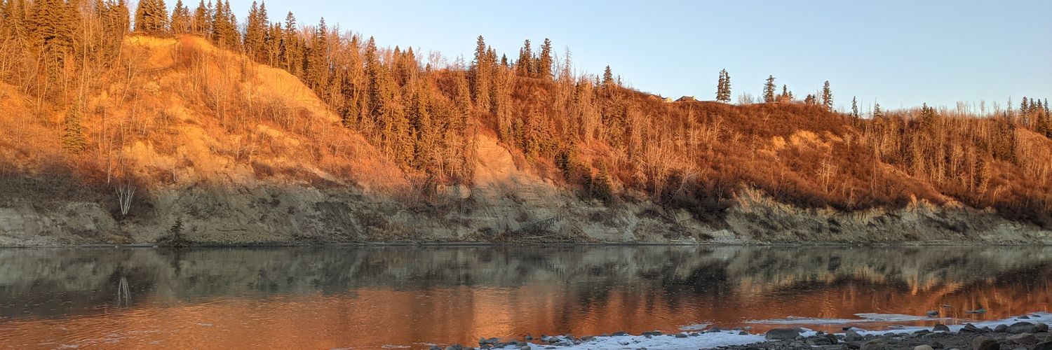 Natasha Allen banner