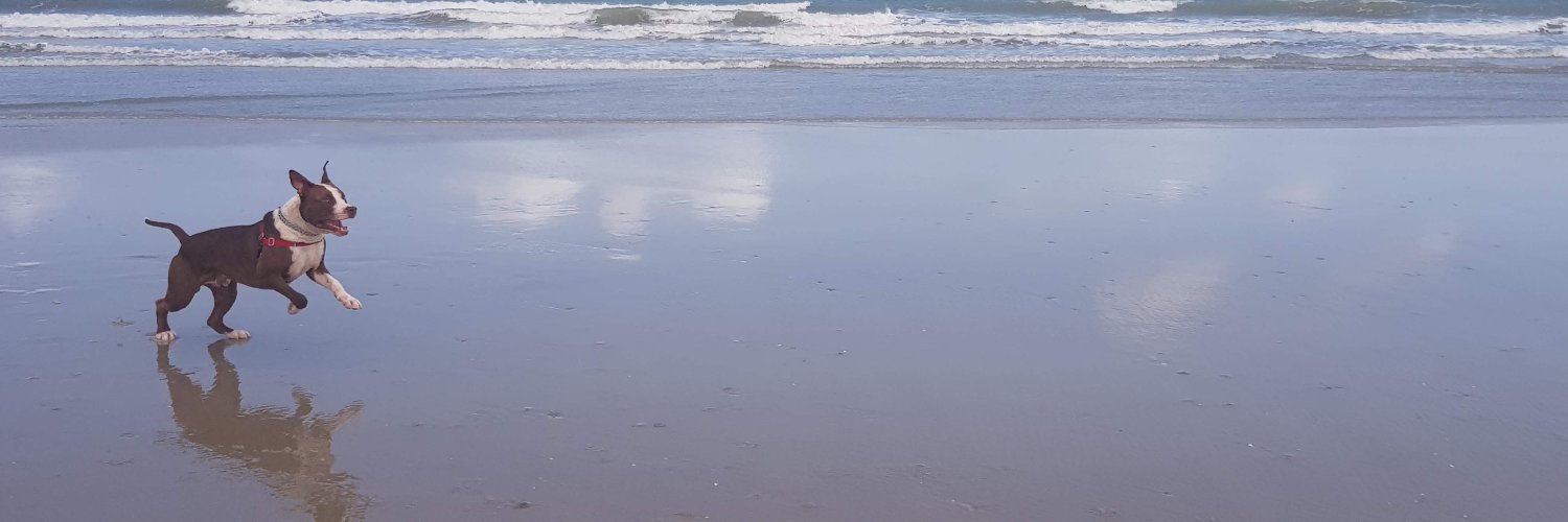 jclp's profile banner image
