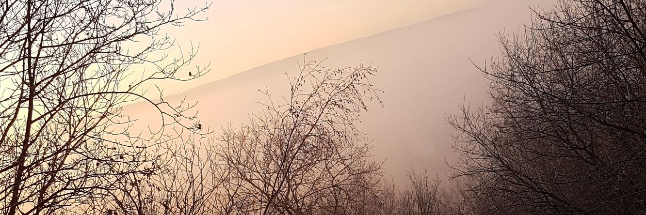 thomas_smolders's profile banner image